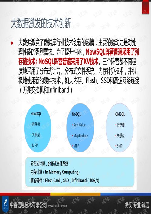 大数据处理与数据处理服务的未来趋势